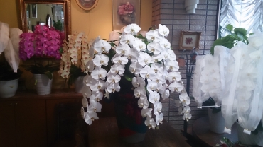 「花の店花昇」　（鹿児島県鹿児島市）の花屋店舗写真4