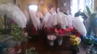 「花の店花昇」　（鹿児島県鹿児島市）の花屋店舗写真1