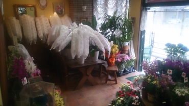 「花の店花昇」　（鹿児島県鹿児島市）の花屋店舗写真2